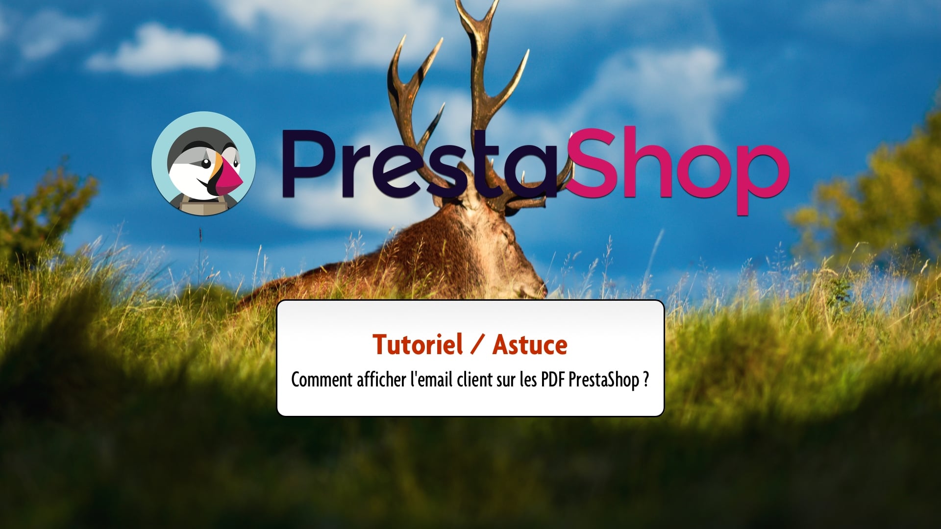 Tutorie / Astuce : Comment afficher l'email client sur les PDF PrestaShop ?