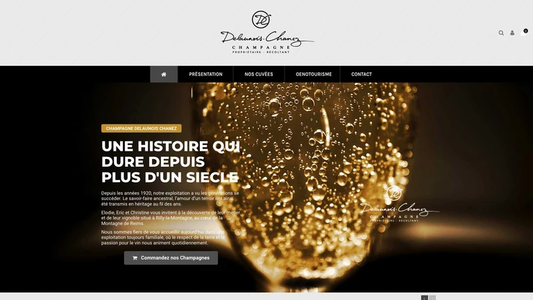 champagne-delaunois-chanez.fr
