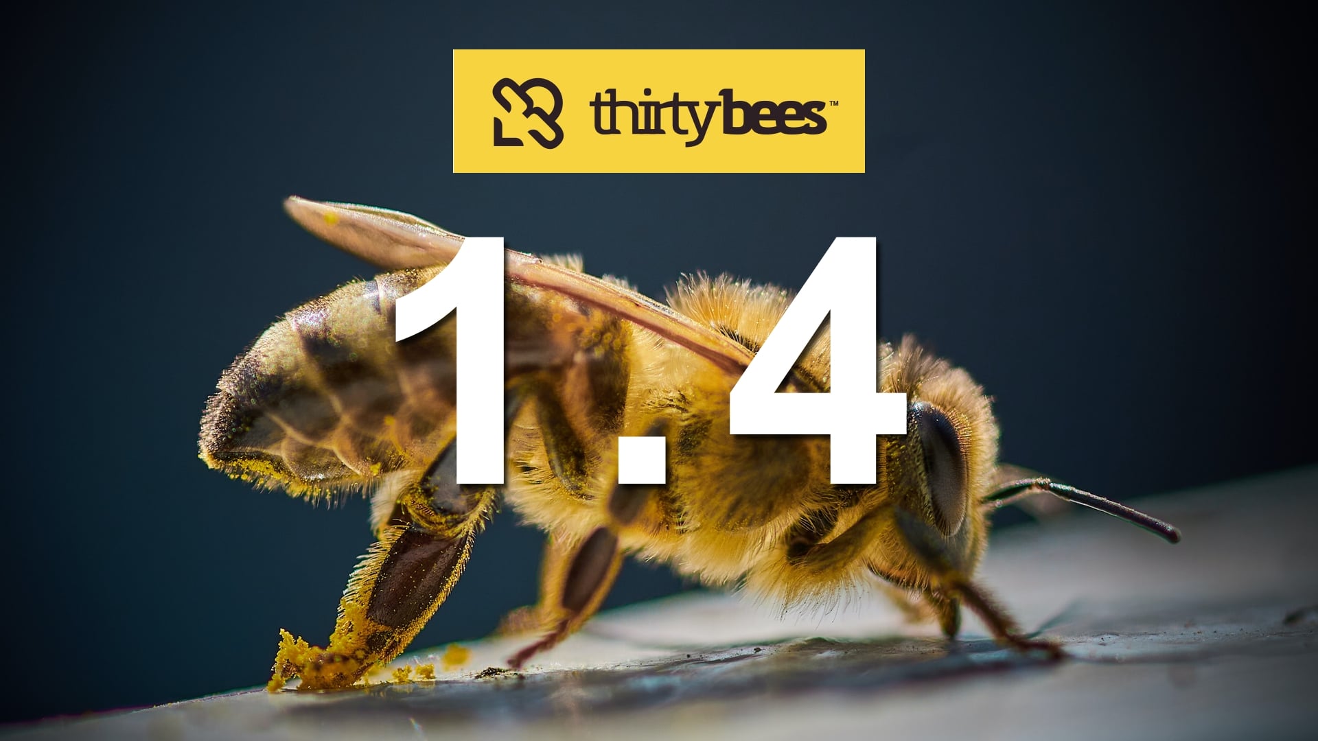 Thirty bees 1.4 disponible et compatible PHP 8.0 et 8.1