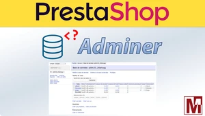 Gestion de votre base de données directement à partir du backoffice de PrestaShop ou thirty bees.