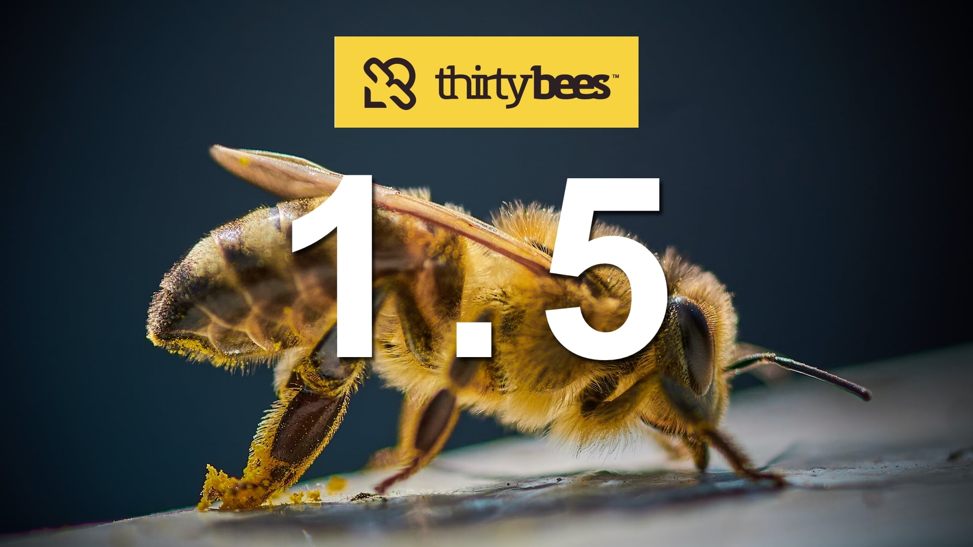 thirtyBees 1.5, nouvelle version officielle